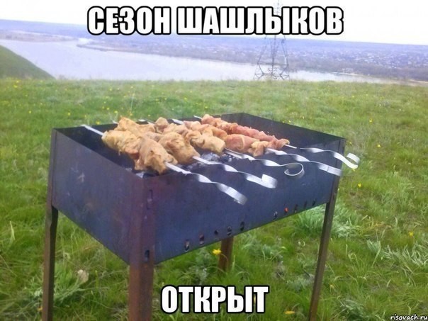 Герберами, на шашлыки картинки прикольные с надписями