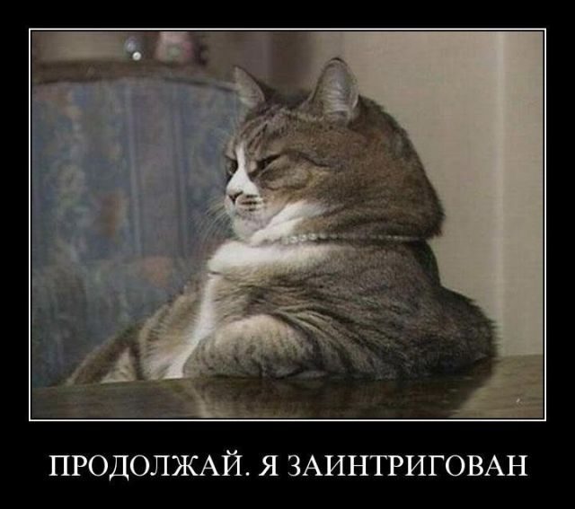 Лучшие демотиваторы!
