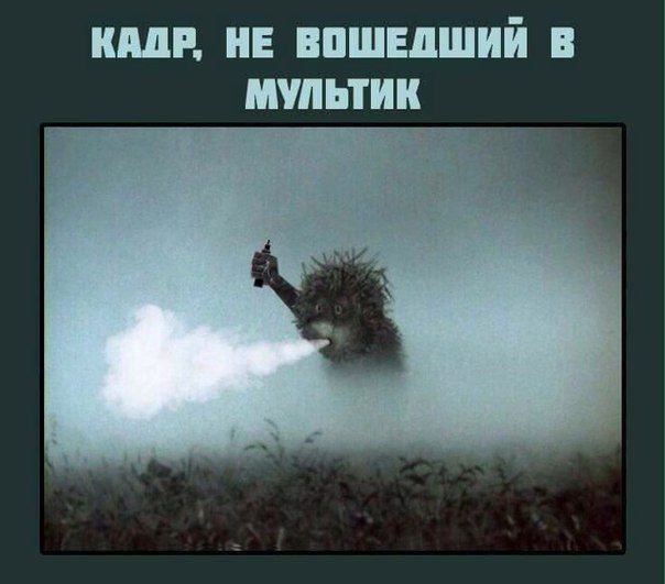 Прикольные картинки про ежика в тумане