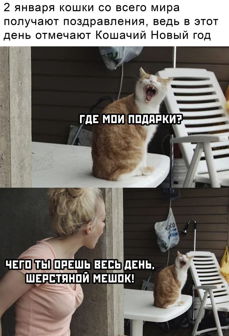 Этот праздник не закончится никогда! Согласны? Этот праздник не закончится никогда! Согласны? позитив,смешные картинки,фото-приколы,юмор