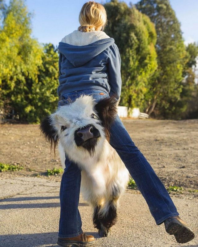 Фотоподборка субботы за всю неделю 