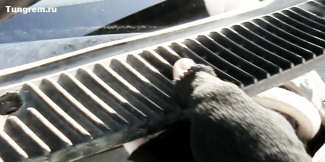 Снятие решётки на Калине