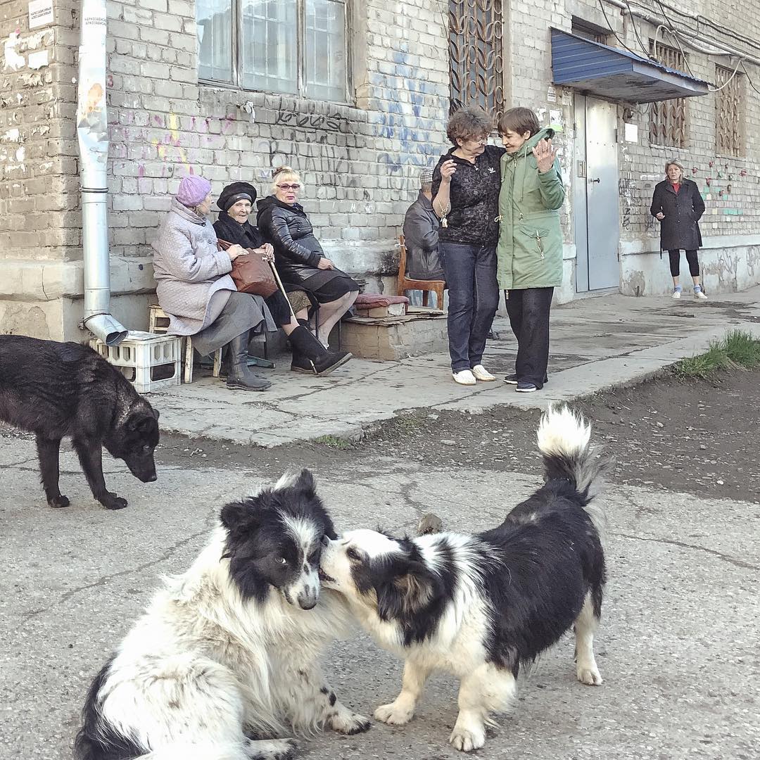 Российская провинция: серия фотографа-документалиста