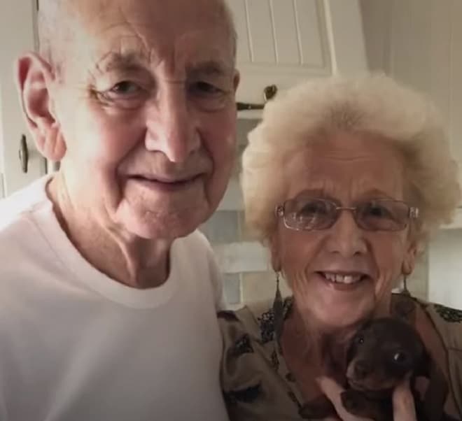 Пара и щенок