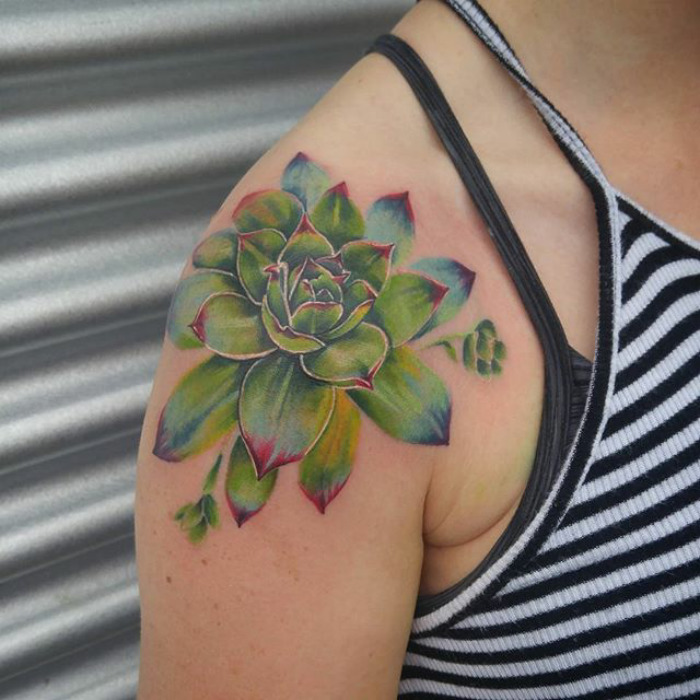 Succulent-tattoo-designs