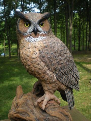 Птицы из дерева. Восхищаюсь мастерством и красотой! handmake,дерево,поделки своими руками