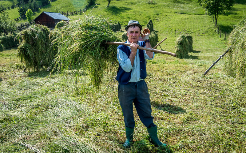 Некоторые аспекты сельской жизни в Румынии глушь, город, деревня, отдых, румыния, село, труд