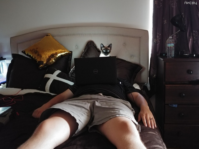 Офигенный обман зрения. Суперхит! Офигенный обман зрения. Суперхит! смешные картинки