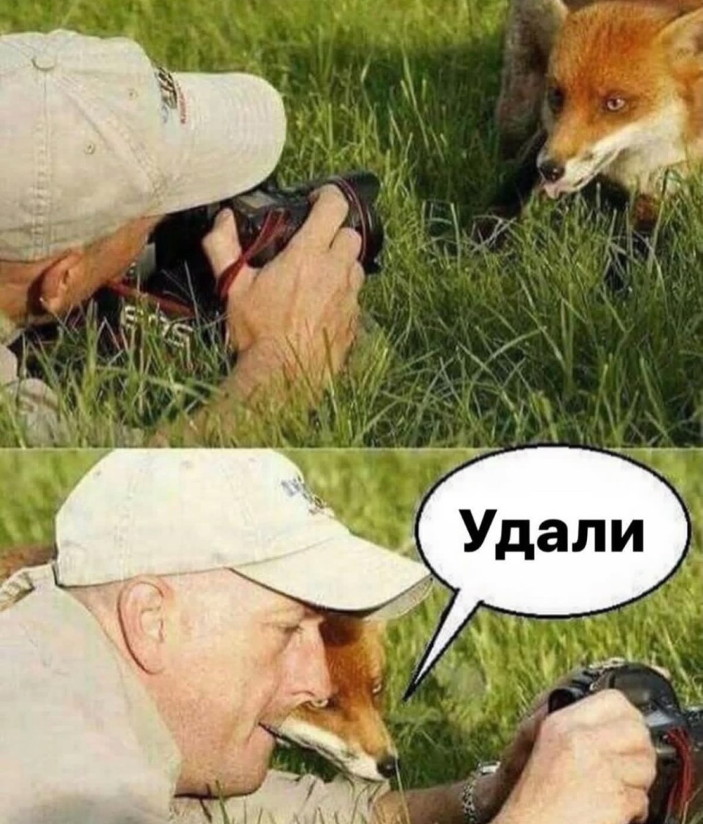 Шутки должны быть неожиданными. Как веер у бомжа 