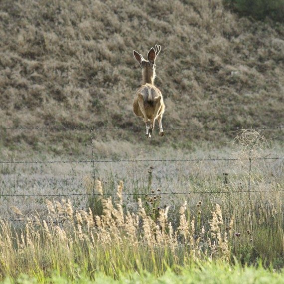 Позитивные моменты дня Позитивные моменты дня