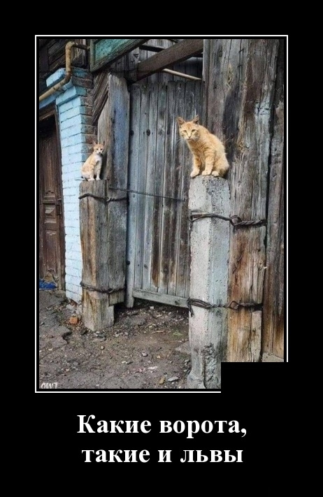 Демотиваторы - Улыбайтесь, господа, улыбайтесь! Демотиваторы - Улыбайтесь, господа, улыбайтесь!