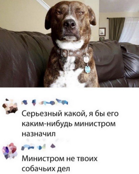 Зверский юмор Зверский юмор