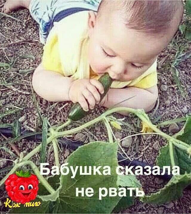 Яркие шутки и анекдоты для теплого настроения 