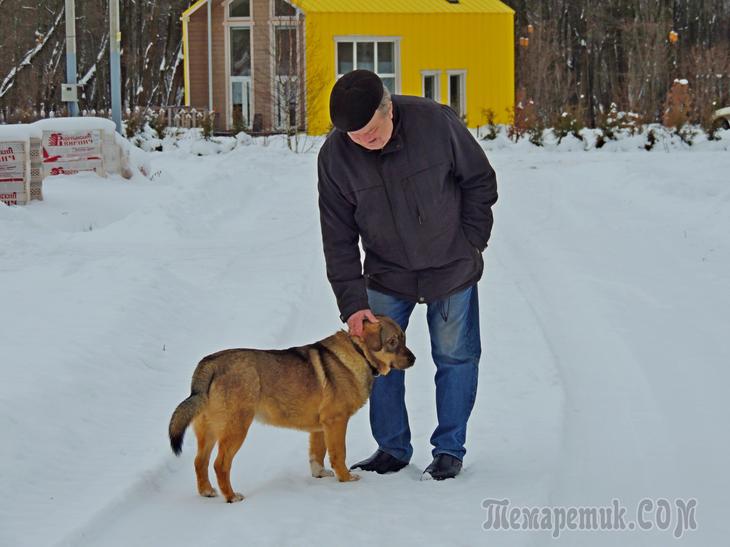 Деревня Федора Конюхова Федора, Конюхова, Федор, более, внимание, честь, деревни, мастерской, места, который, славы», когда, сразу, Тульской, Красноярского, Филиппович, календарь, обычные, здесь, много