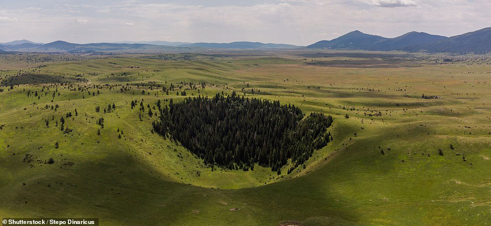 Пропасти и бездны Земля,любопытное