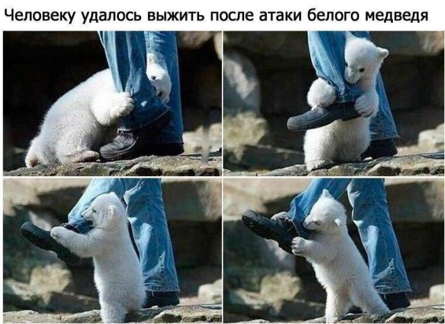 Подборка прикольных картинок Подборка прикольных картинок смешные картинки