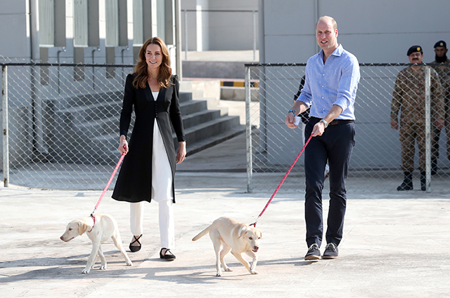 Кейт Миддлтон и принц Уильям приняли участие в дрессировке собак в кинологическом центре в Исламабаде Кейт Миддлтон и принц Уильям приняли участие в дрессировке собак в кинологическом центре в Исламабаде Монархии