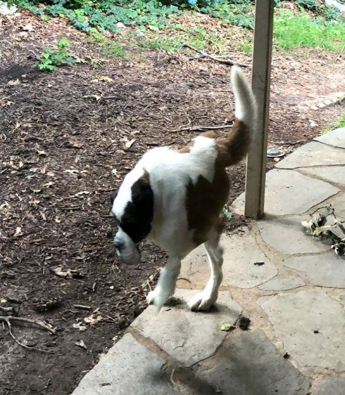 Что ты такое?! Что ты такое?!