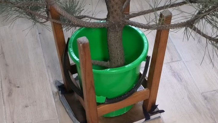 Как правильно установить елку, чтобы не падала и была зеленой