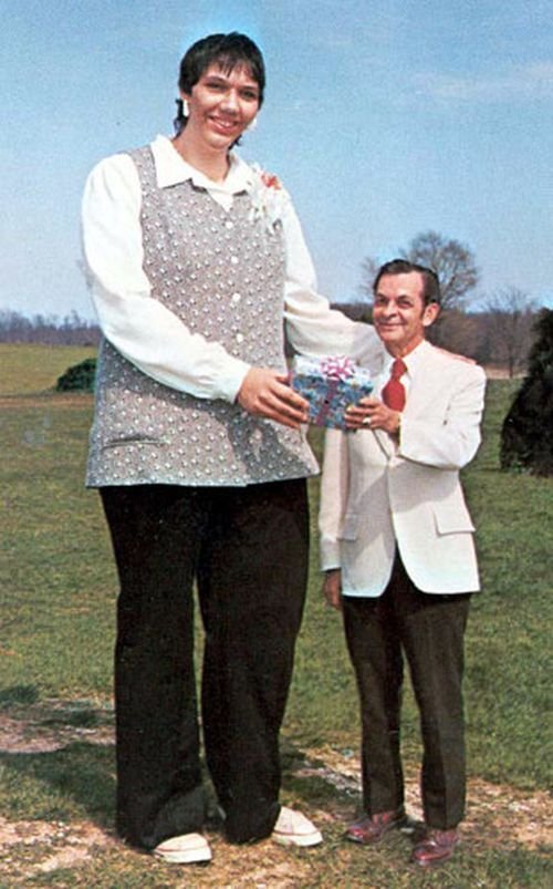 Джейн Банфорд, Англия, 241 сантиметр в мире, высота, девушки, люди, размер, рост