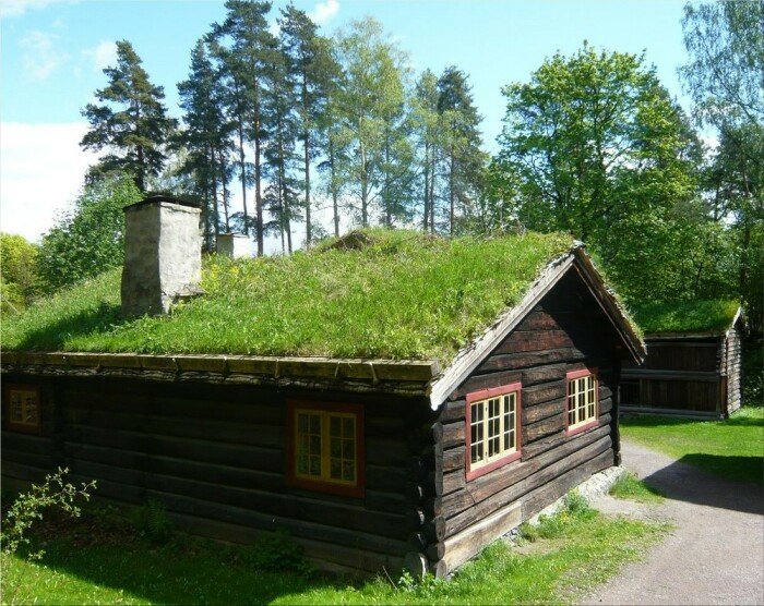 Зачем в скандинавских странах на крышах домов растят траву также, крайне, крыши, крыша, качестве, местах, Европе, тепло, Северной, Особенно, лучше, слишком, использовали, естественной, чтобы, дополнительные, потому, очень, материалов, крыше
