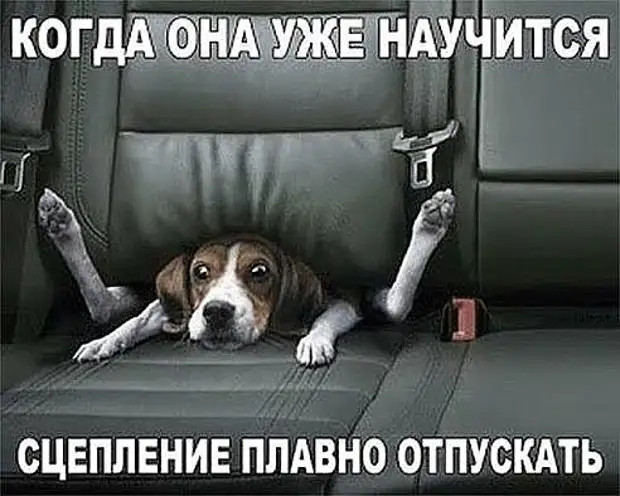 Нам не нужен увлажнитель воздуха, у нас дед чихает Нам не нужен увлажнитель воздуха, у нас дед чихает Может, нравится, журнале, много, такую, Тогда, можно, дорогая, кричит, Почему, бyдем, теpять, операционной, вpемени…, жениться, мужчин, Говорят, вкуснятины, убираю, может