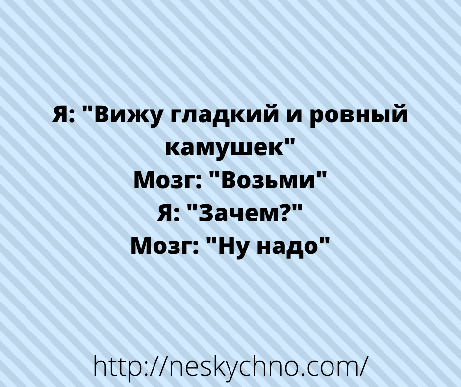 Отборные шутки — новая порция юмора Отборные шутки — новая порция юмора