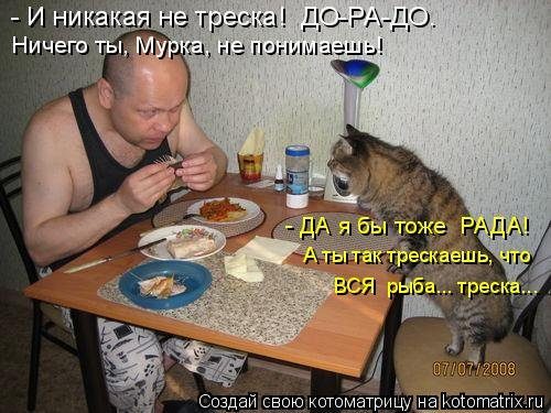 Самая убойная котоматрица 