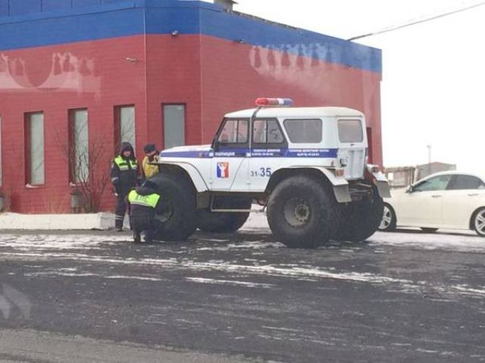 Прикольные фотографии и смешные картинки из жизни (12 фото)