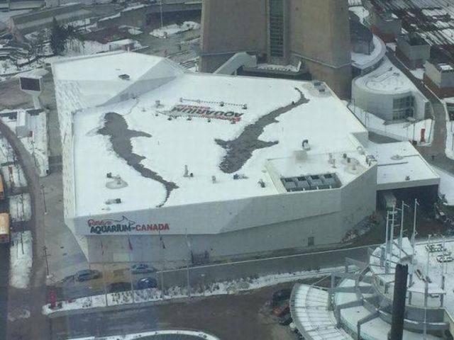 Прикольные картинки для настроения: «Бьюти-советы для мужиков…» 