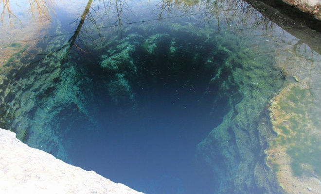 10 самых опасных водоемов: купаться точно не стоит акулы,водоем,океан,Пространство,река