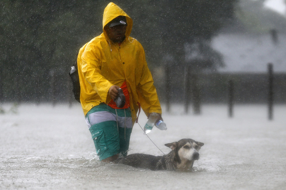 STORM-HARVEY/