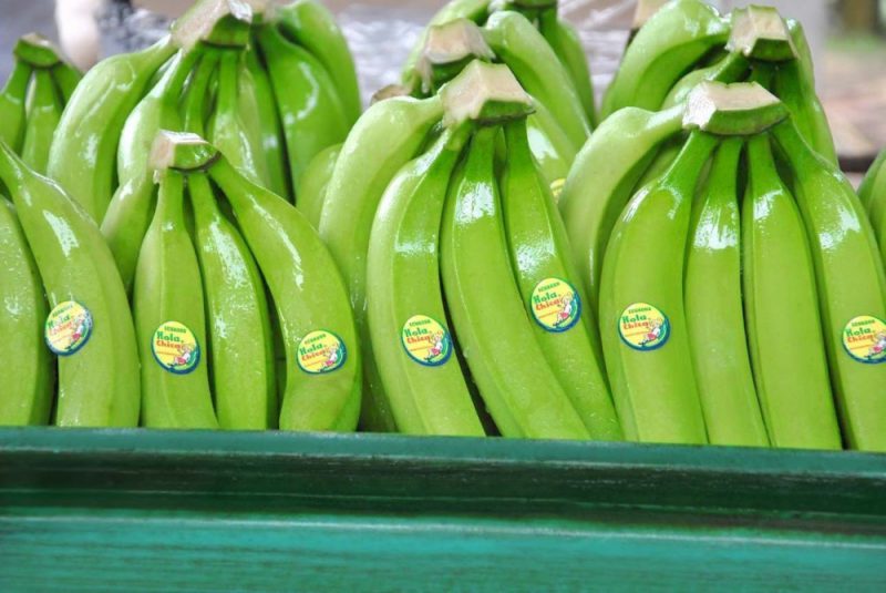История появления бананов в СССР