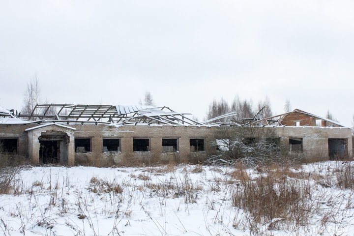 Пограничная жизнь. История полуслепой Анны и ее 13-летнего сына, который кормит семью истории, отношения, семья, факты
