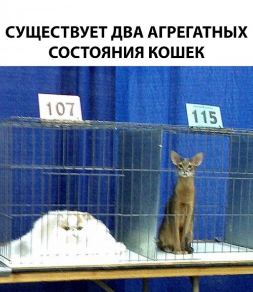 Свежая подборка приколов Свежая подборка приколов