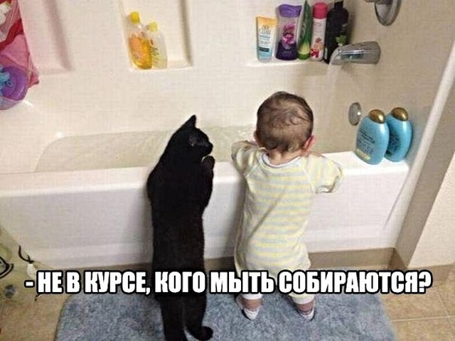 Подборка смешных картинок  смешные картинки