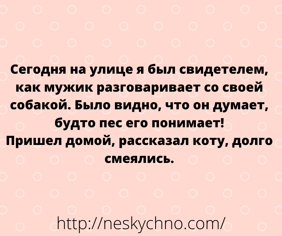 Отборные шутки — новая порция юмора Отборные шутки — новая порция юмора