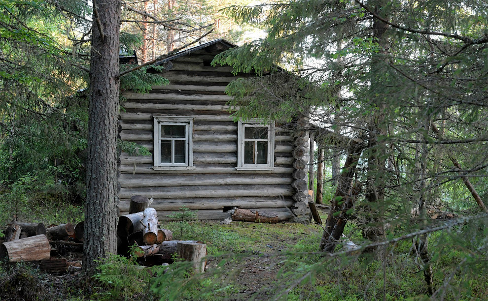 Двинско-Пинежский заказник: как исчезают первозданные леса путешествие,Россия,туризм,экология