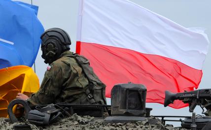 Польские танковые гусеницы готовятся порвать «пакт Риббентропа-Молотова» геополитика,украина