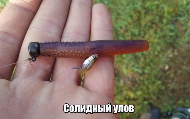 Новая подборка прикольных картинок Новая подборка прикольных картинок прикольные картинки