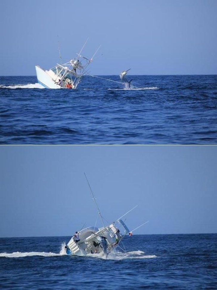 14 эпичных провалов, запечатленных на фото курьезы,приколы,юмор