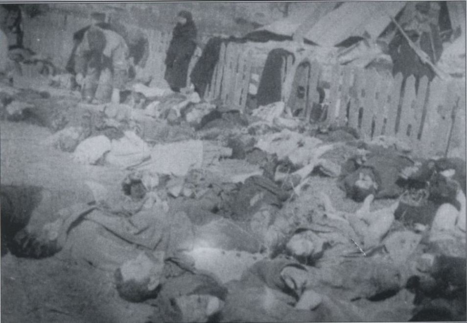 Бандеровцы