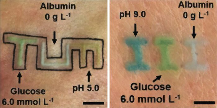 Немецкие учение разработали татуировки, которые сообщают о здоровье