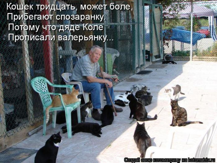 Мысли вслух :)