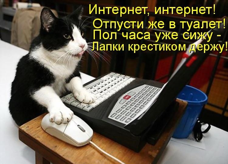 Приколы картинки про инет