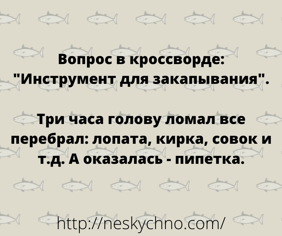 Отборные шутки — новая порция юмора Отборные шутки — новая порция юмора
