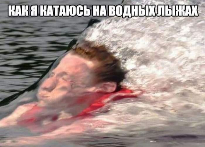 Смешные картинки с надписями для поднятия настроения (11 фото)