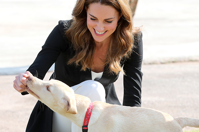 Кейт Миддлтон и принц Уильям приняли участие в дрессировке собак в кинологическом центре в Исламабаде Кейт Миддлтон и принц Уильям приняли участие в дрессировке собак в кинологическом центре в Исламабаде Монархии