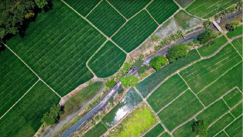 ФНС России разъяснила особенности применения кадастровой стоимости для уплаты земельного налога в 2023 году.