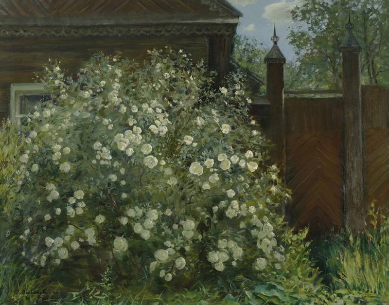 �������� �������� ���� �������� ����, ��������, ������� ������, �����